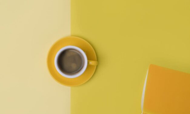 Organización del Espacio de Trabajo: La clave