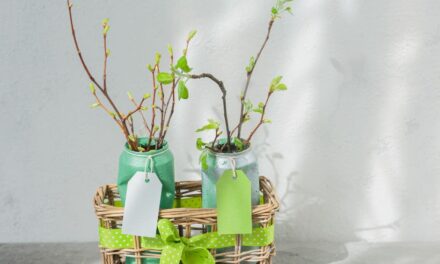 El Reciclaje Creativo: Un arte